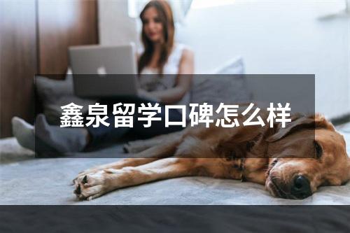 鑫泉留学口碑怎么样