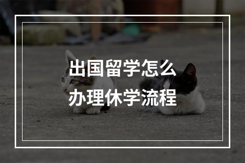 出国留学怎么办理休学流程