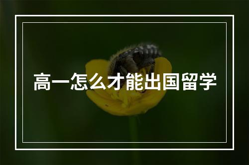 高一怎么才能出国留学