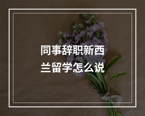 同事辞职新西兰留学怎么说