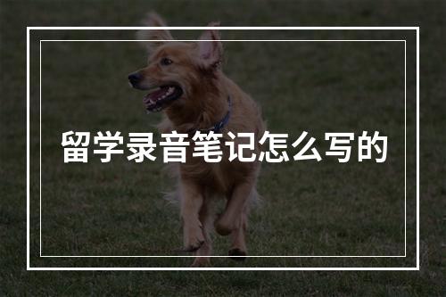 留学录音笔记怎么写的