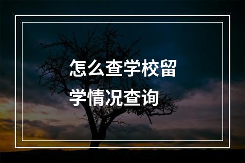 怎么查学校留学情况查询