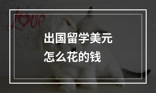 出国留学美元怎么花的钱