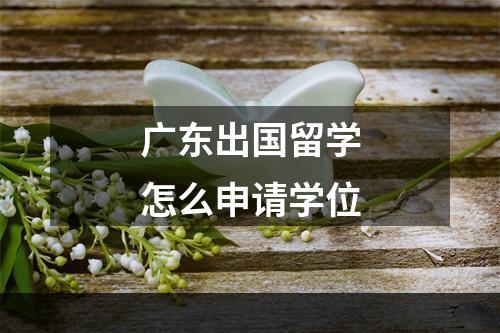 广东出国留学怎么申请学位