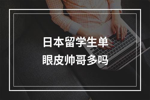 日本留学生单眼皮帅哥多吗