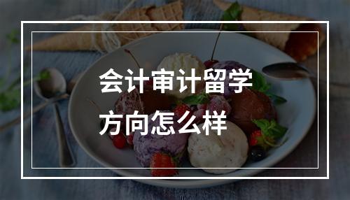 会计审计留学方向怎么样