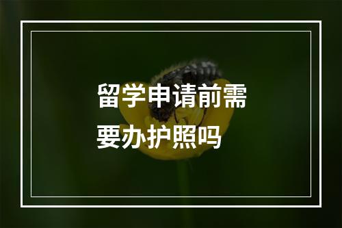 留学申请前需要办护照吗