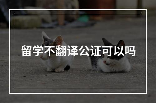 留学不翻译公证可以吗