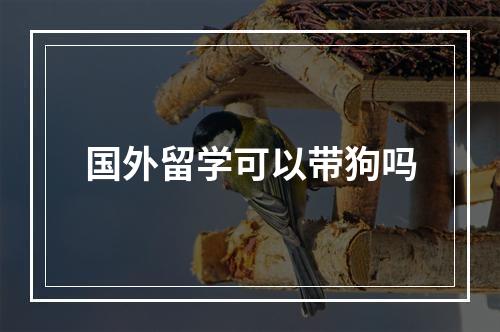 国外留学可以带狗吗