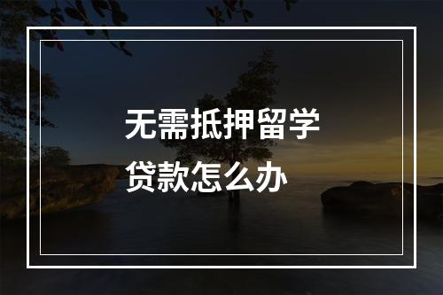 无需抵押留学贷款怎么办