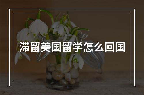 滞留美国留学怎么回国