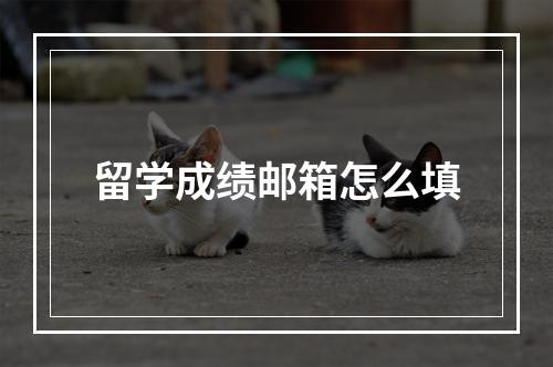 留学成绩邮箱怎么填