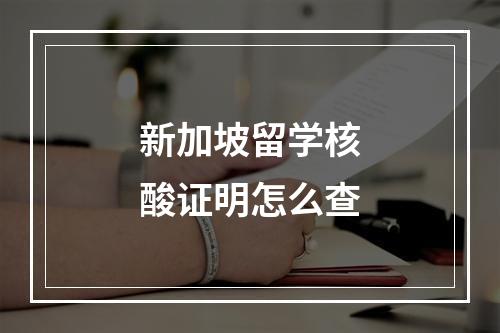 新加坡留学核酸证明怎么查