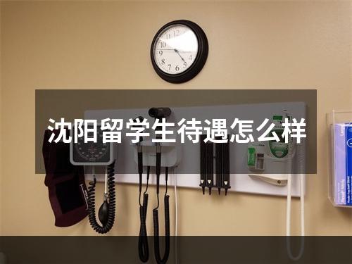 沈阳留学生待遇怎么样