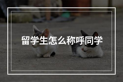 留学生怎么称呼同学