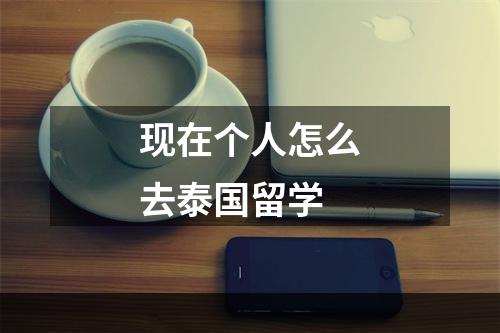 现在个人怎么去泰国留学