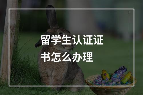 留学生认证证书怎么办理