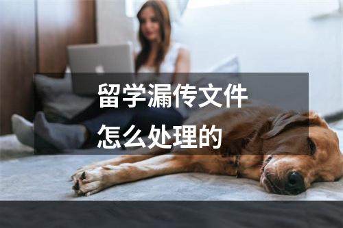 留学漏传文件怎么处理的