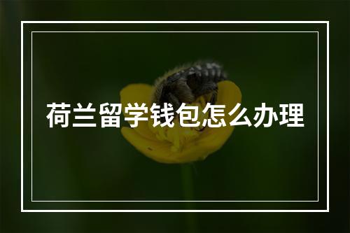 荷兰留学钱包怎么办理