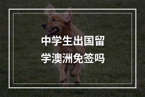 中学生出国留学澳洲免签吗