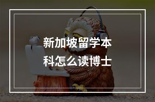 新加坡留学本科怎么读博士