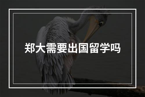 郑大需要出国留学吗