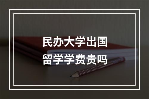 民办大学出国留学学费贵吗