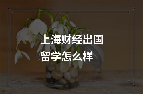 上海财经出国留学怎么样