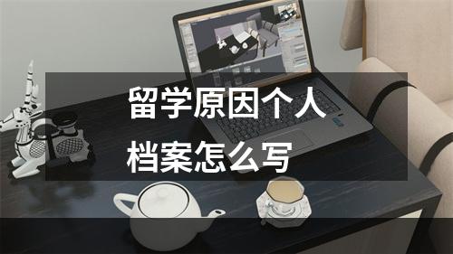 留学原因个人档案怎么写