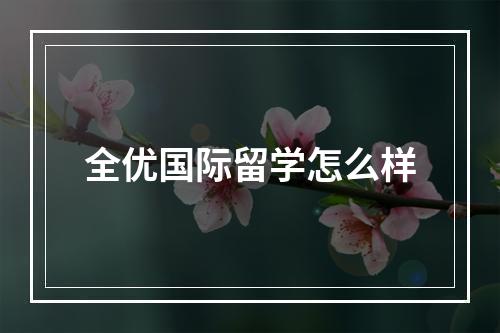 全优国际留学怎么样