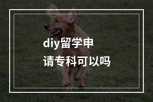 diy留学申请专科可以吗