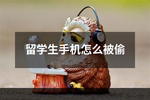 留学生手机怎么被偷