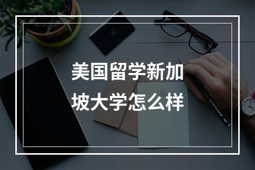 美国留学新加坡大学怎么样