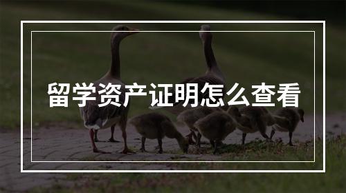 留学资产证明怎么查看