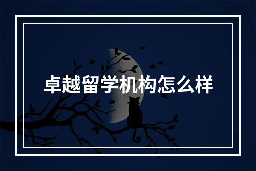 卓越留学机构怎么样