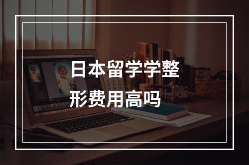 日本留学学整形费用高吗