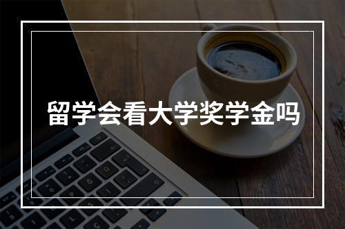 留学会看大学奖学金吗