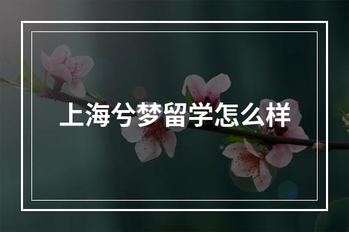 上海兮梦留学怎么样