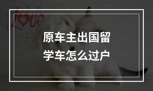 原车主出国留学车怎么过户