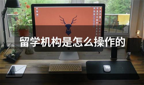 留学机构是怎么操作的