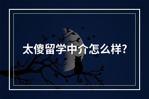 太傻留学中介怎么样?