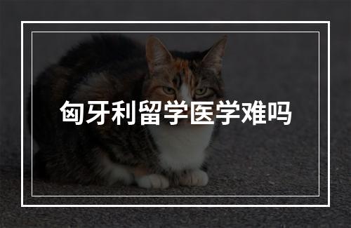 匈牙利留学医学难吗