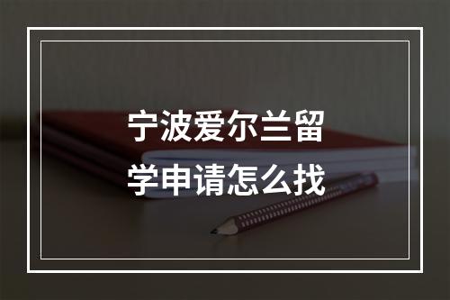 宁波爱尔兰留学申请怎么找