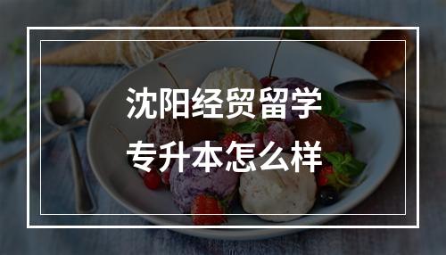 沈阳经贸留学专升本怎么样