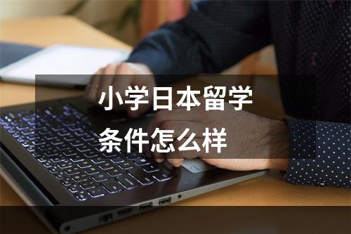 小学日本留学条件怎么样