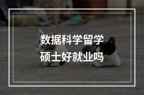 数据科学留学硕士好就业吗