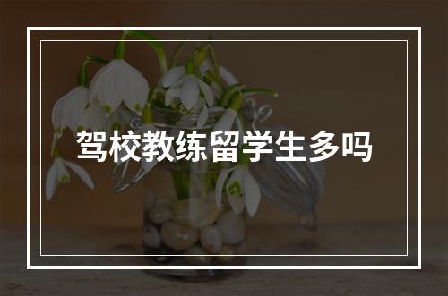 驾校教练留学生多吗