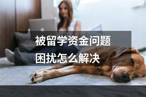 被留学资金问题困扰怎么解决