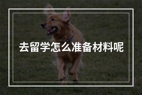 去留学怎么准备材料呢