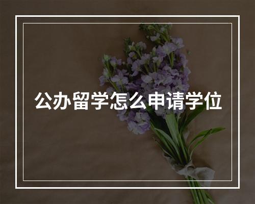 公办留学怎么申请学位